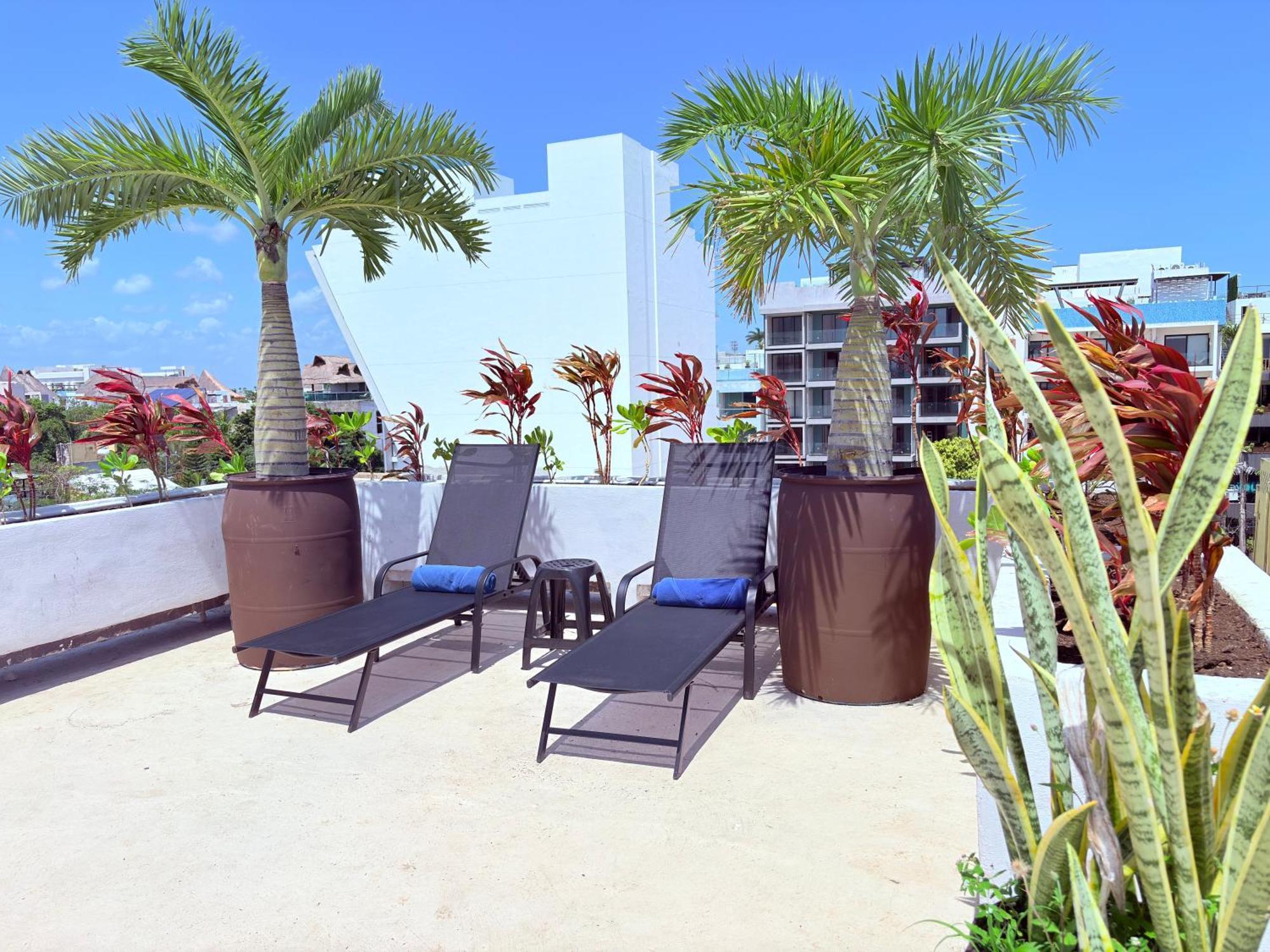 Hotel Kavia 5Th Avenida (Adults Only) Playa del Carmen Exterior photo